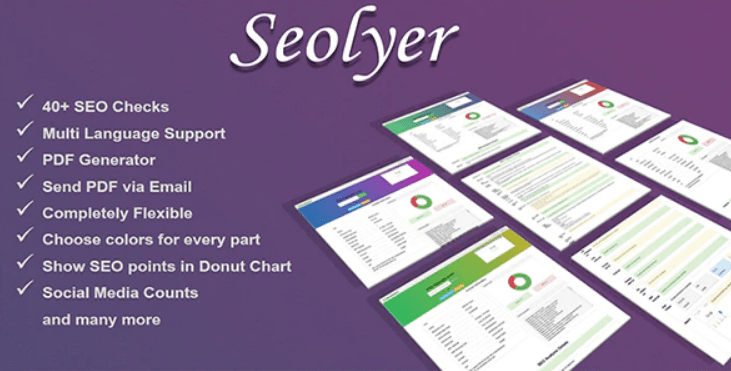 Seolyzer – Turn your Website into an SEO tool